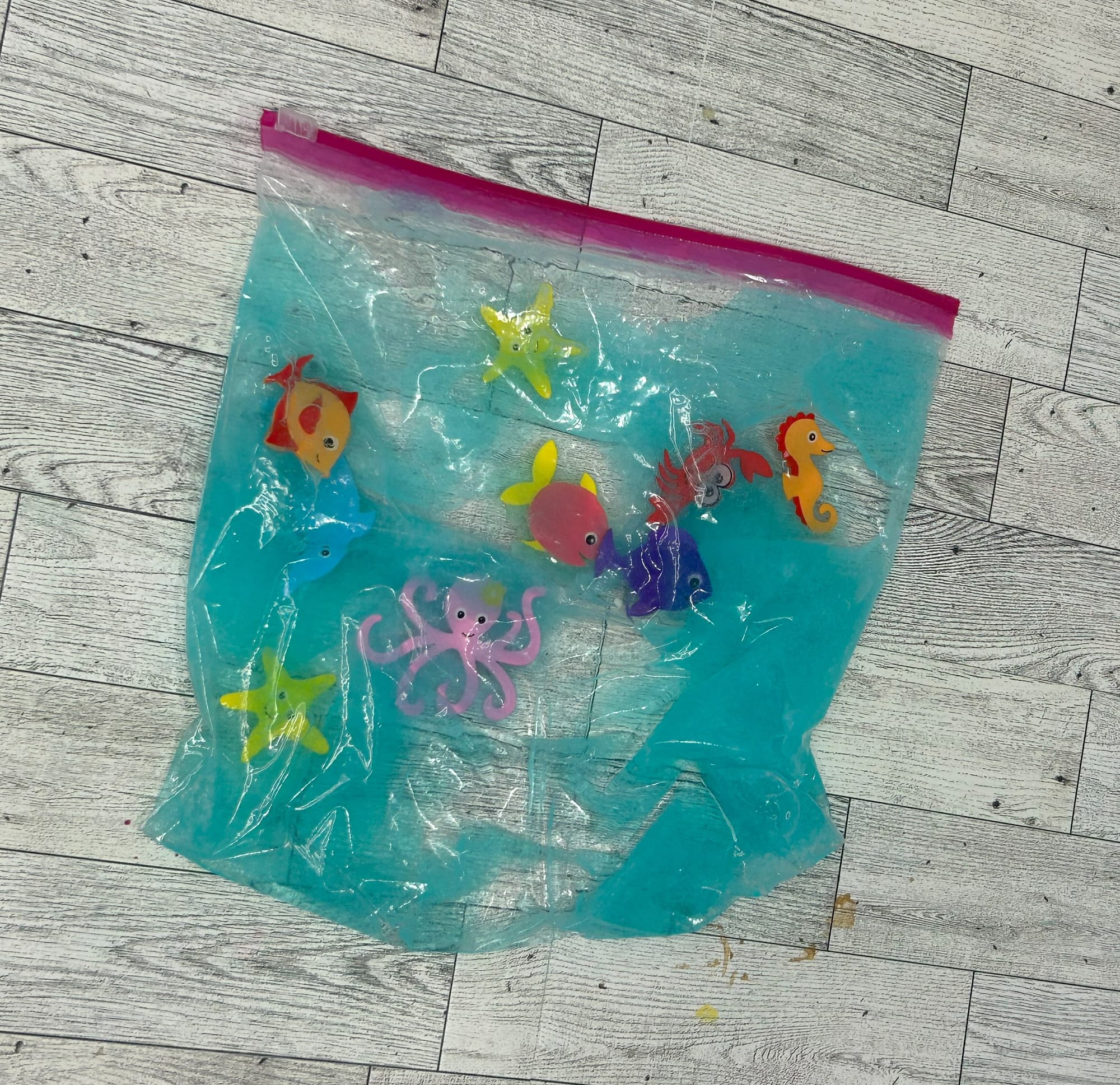 Aquarium sensory bag